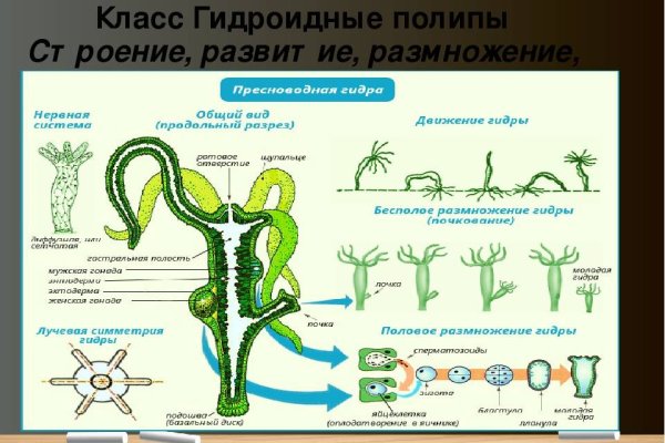 Сайт кракен рабочая ссылка