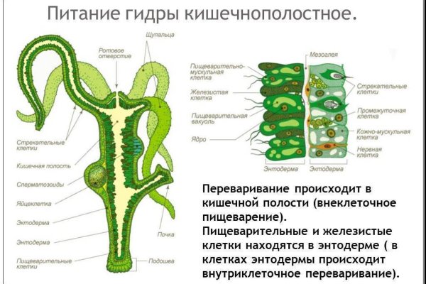 Новая ссылка на мегу в тор браузер