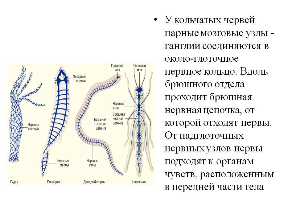 Кракен пишет вы забанены что делать